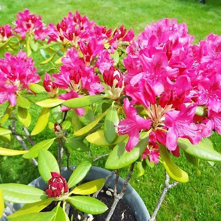 Appartamento Melina Binz