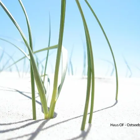 Appartamento Melina *